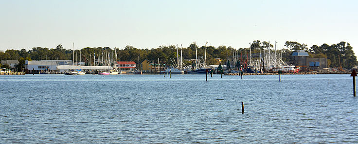 Pecan Grove Marina in Oriental, NC