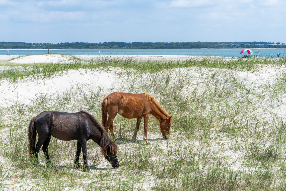 Shackleford Banks