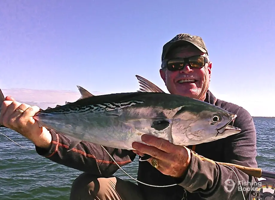 charter image 3