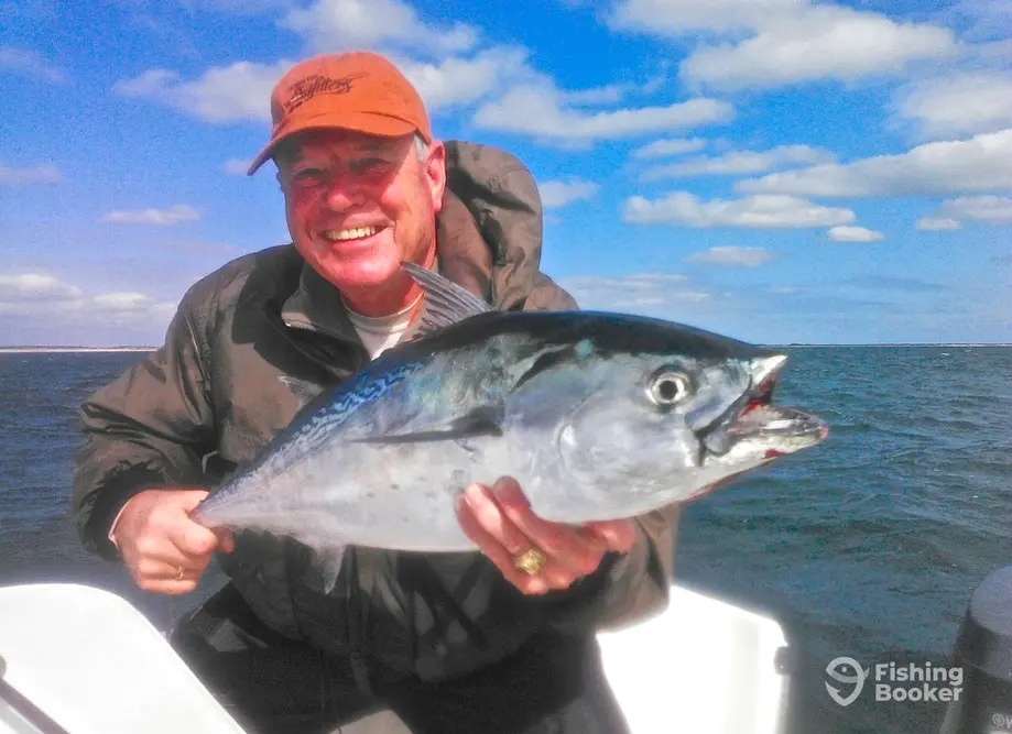 charter image 4