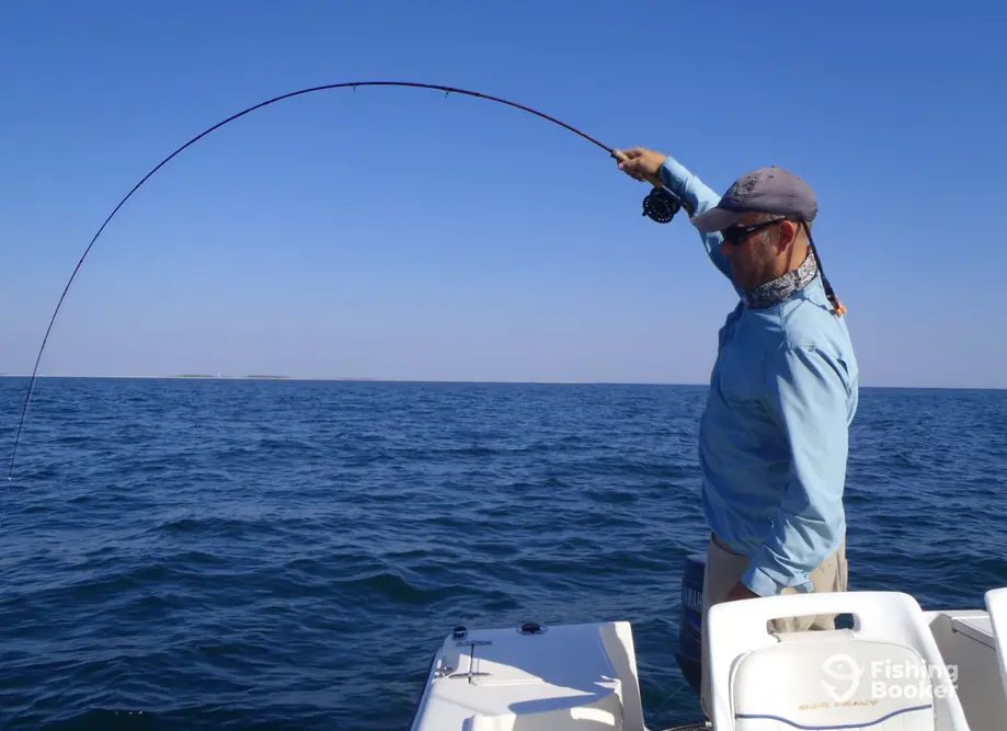 charter image 5