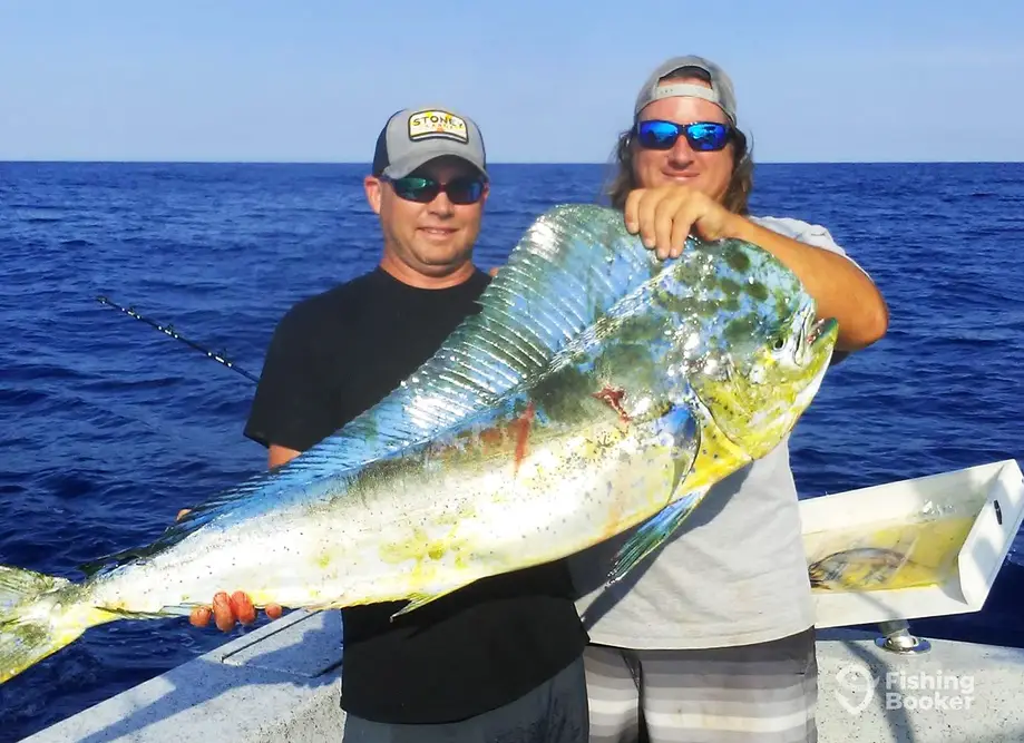 charter image 3