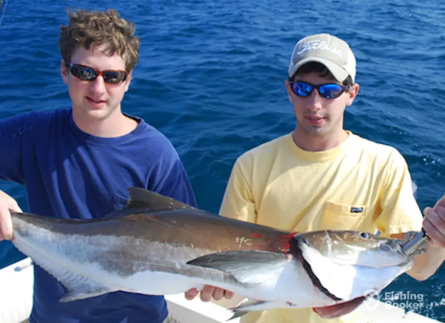 charter image 6