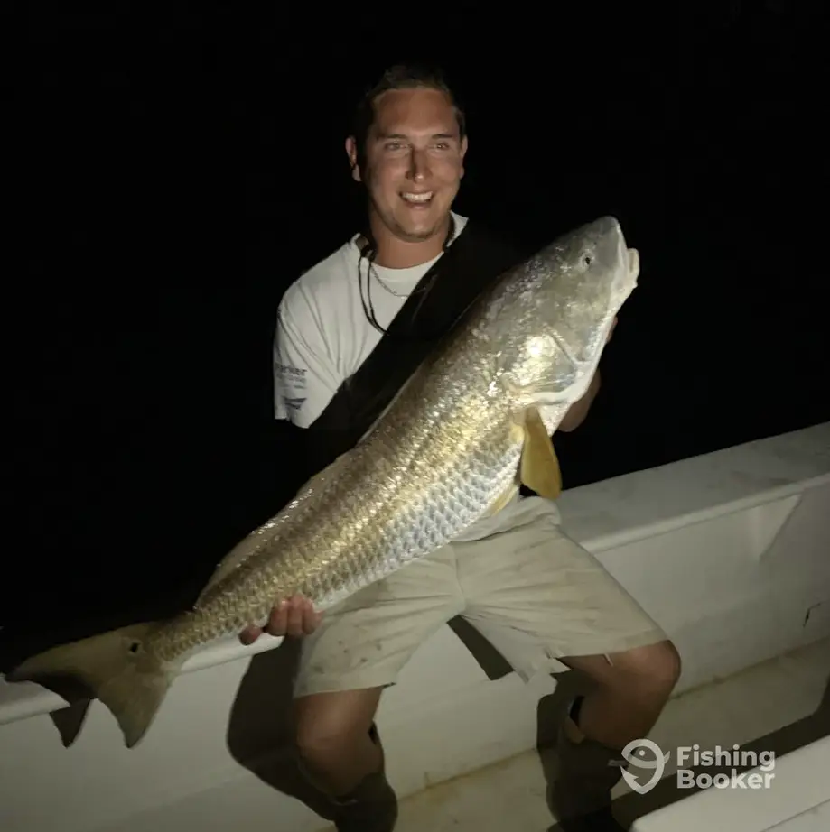 charter image 3