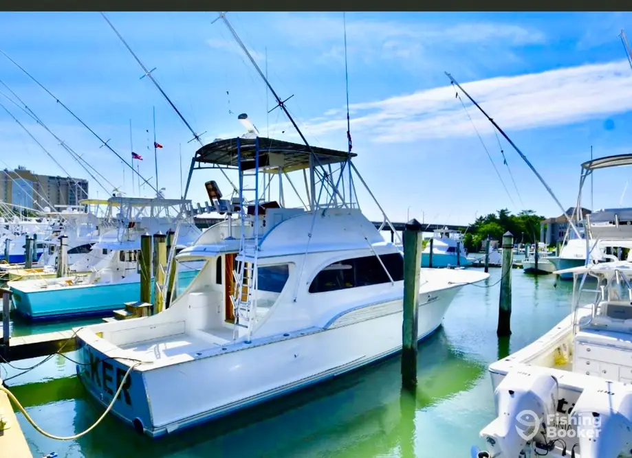 charter image 2