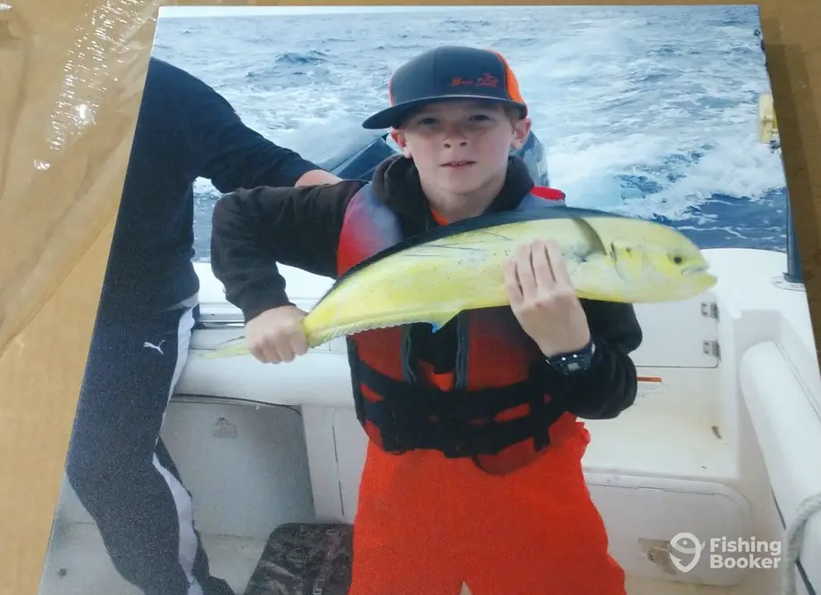charter image 6