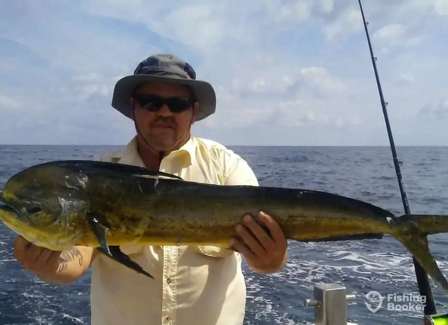 charter image 5