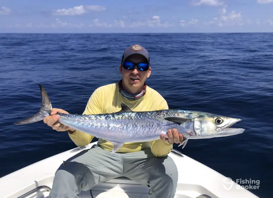 Anglers are catching a bounty offshore on the bottom - Carolina