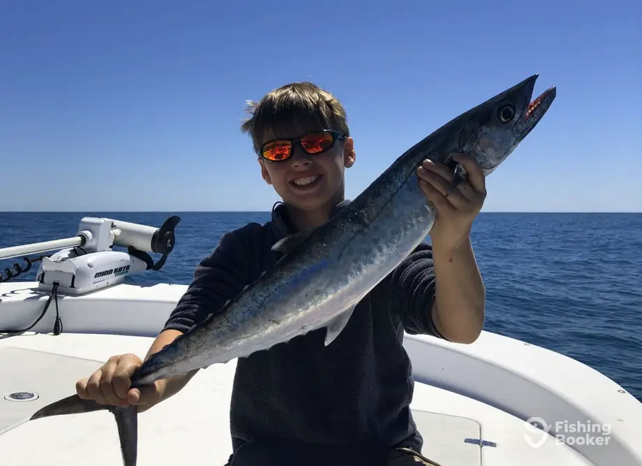 charter image 3