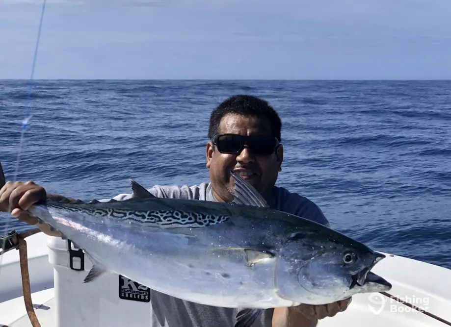 charter image 5