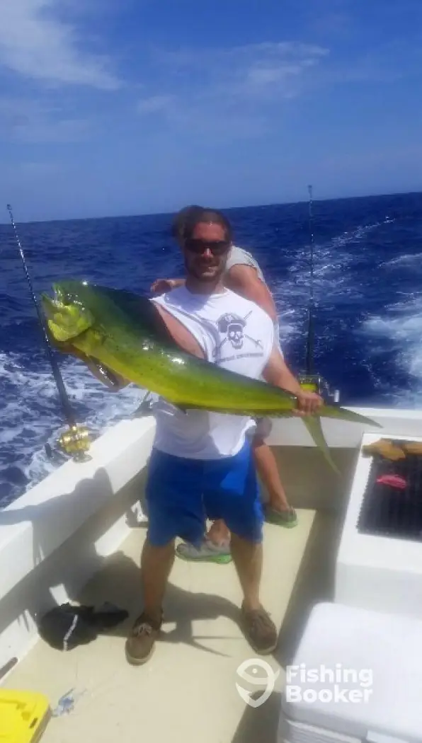 charter image 5