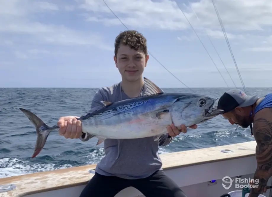 charter image 4