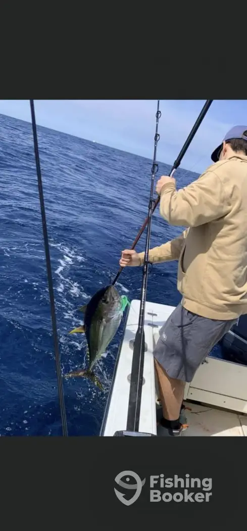 charter image 2