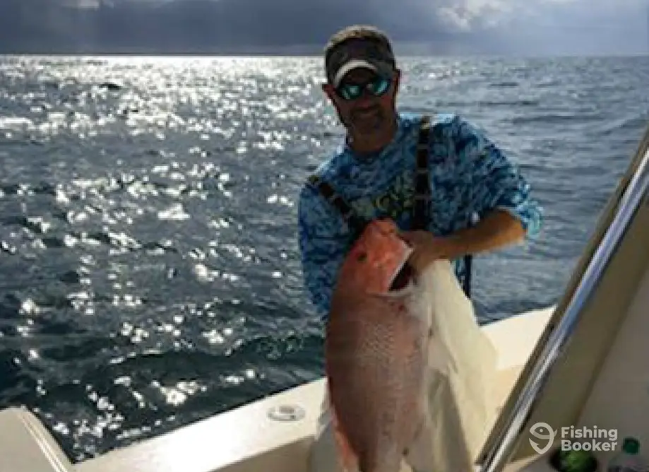 charter image 5