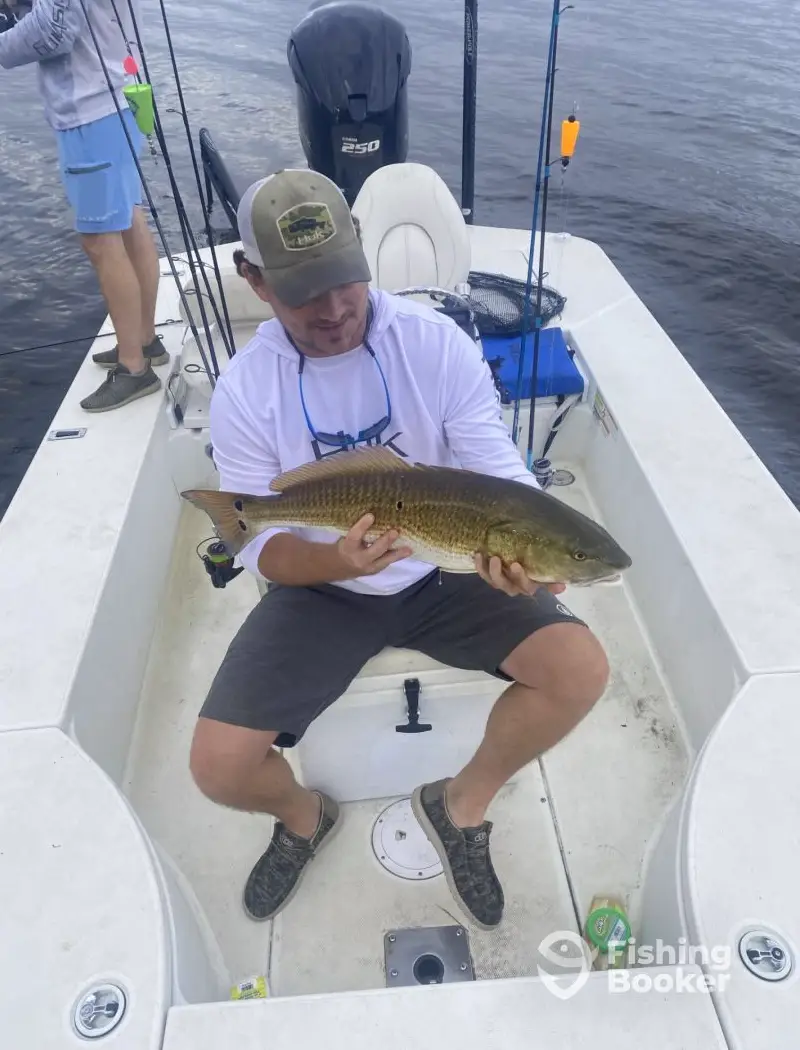 charter image 6