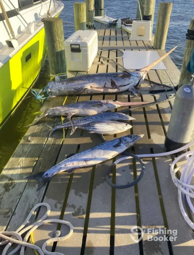 charter image 6