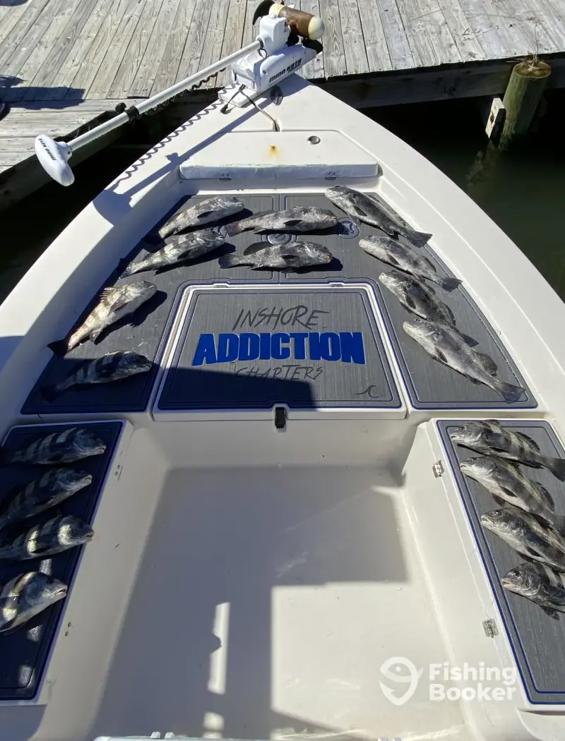charter image 3