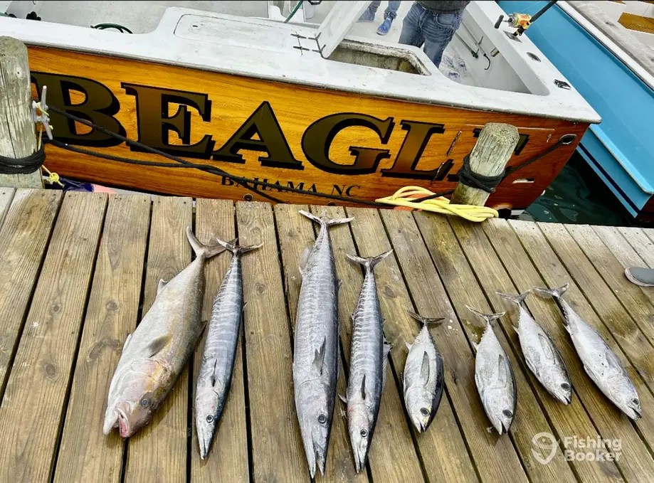 charter image 2