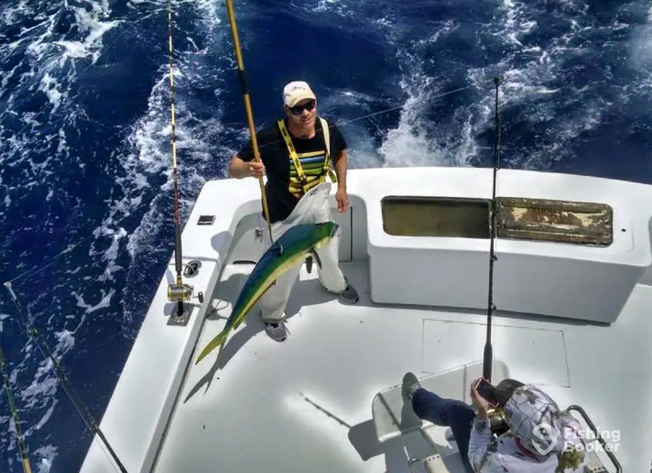 charter image 4