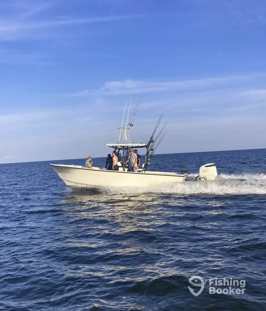 charter image 5