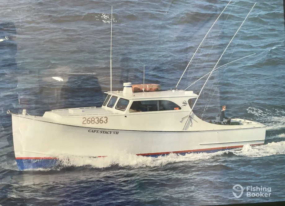 charter image 6
