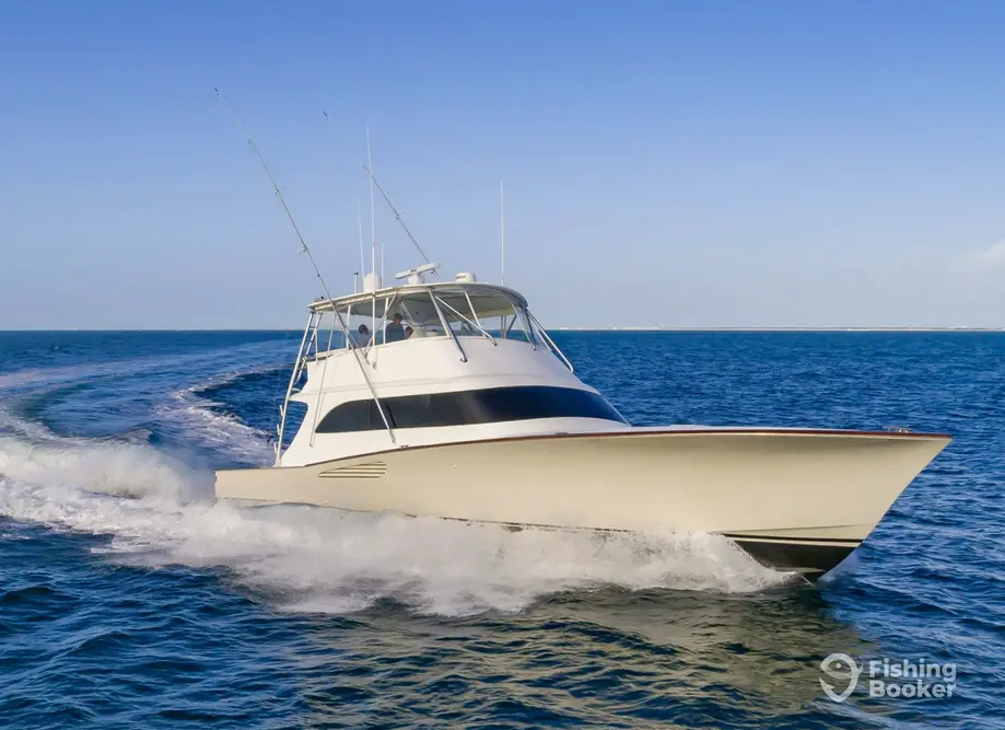 charter image 6