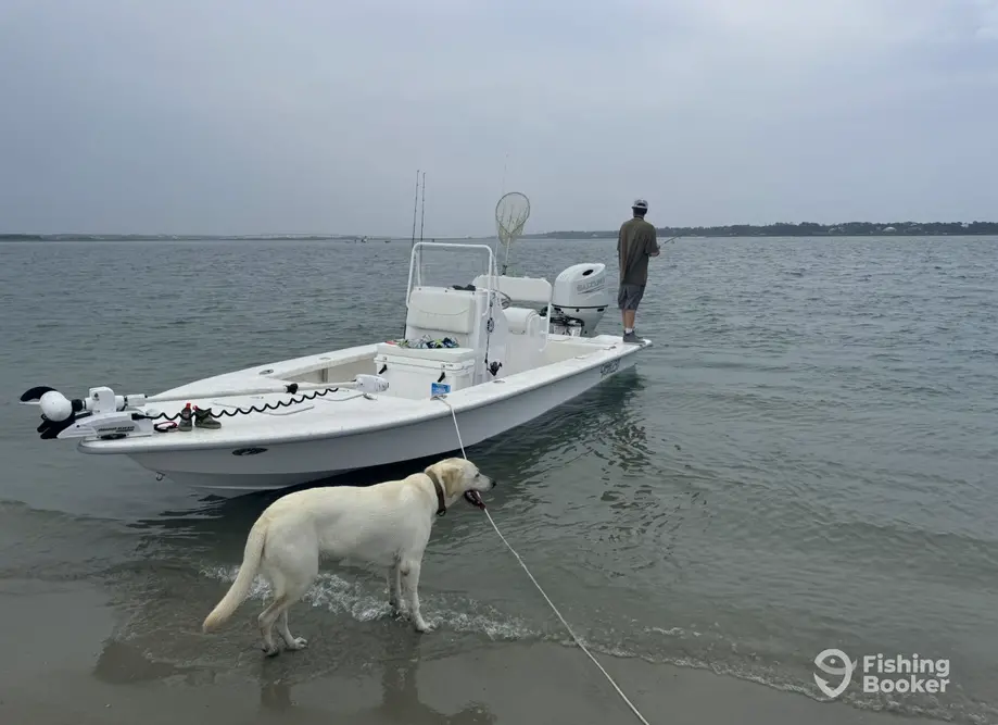 charter image 6