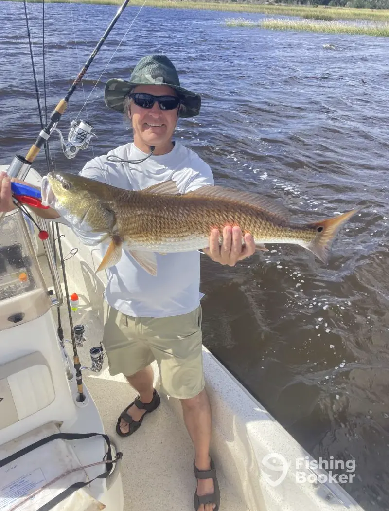 charter image 6