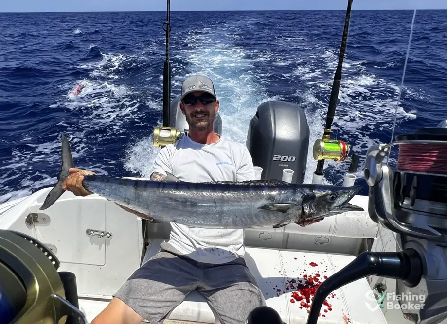 charter image 6