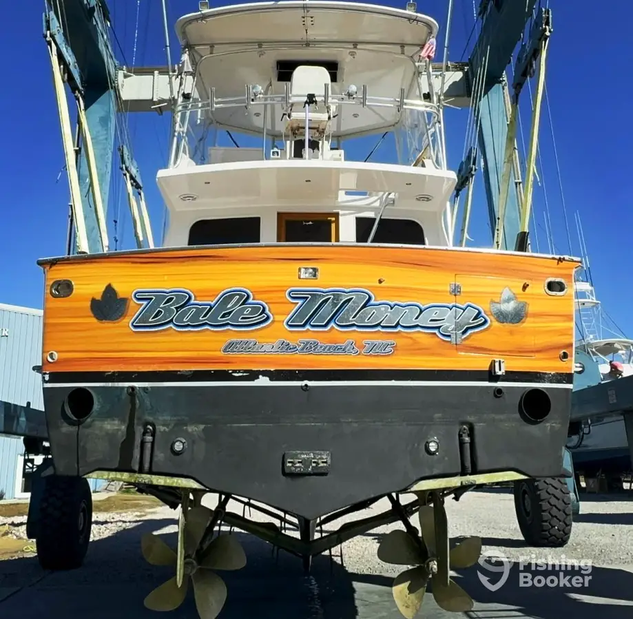 charter image 2