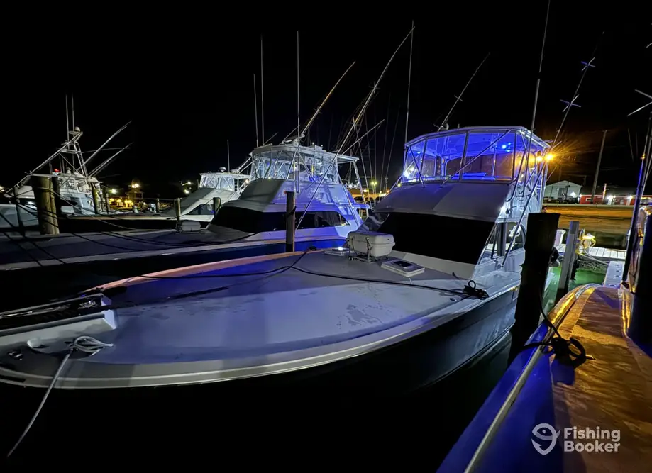 charter image 4