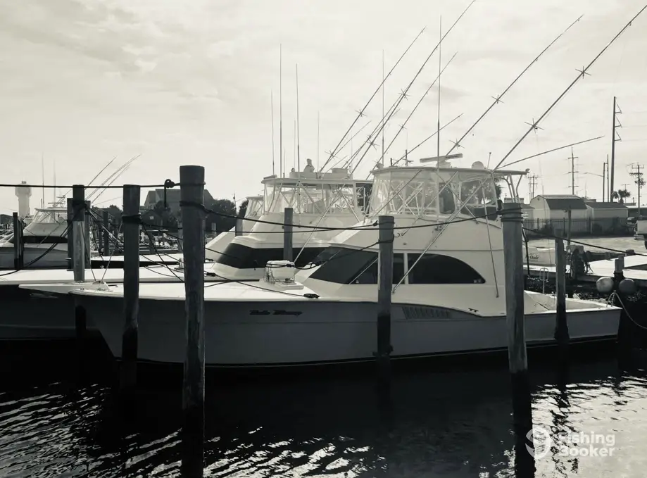 charter image 5