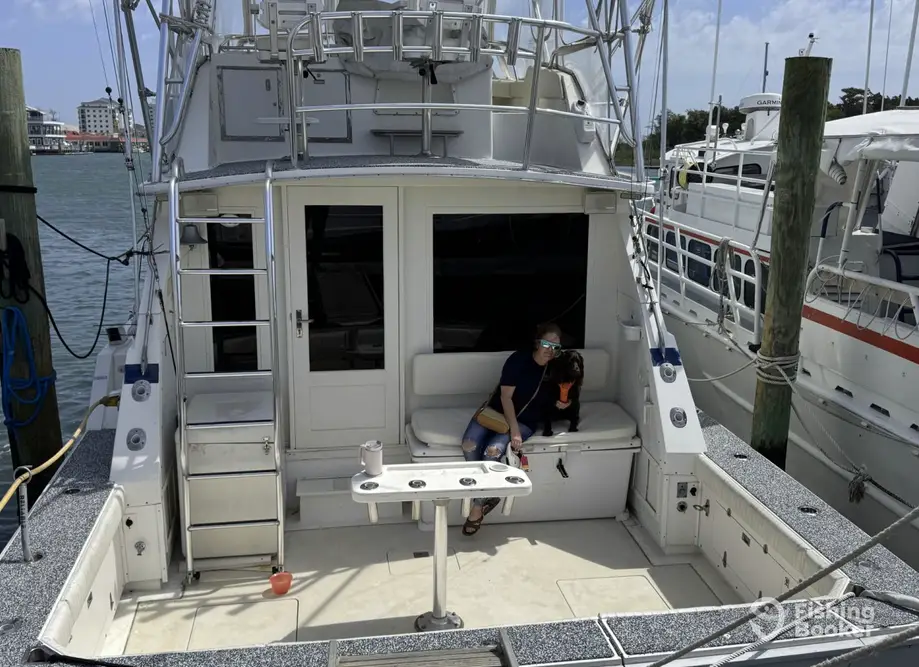 charter image 2