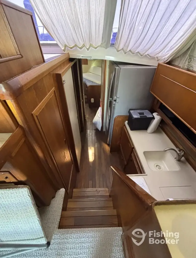 charter image 3
