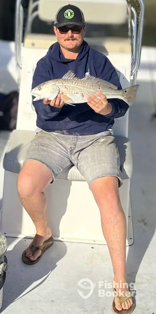 charter image 6