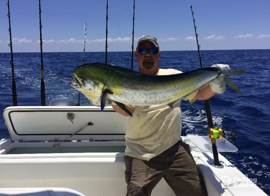 charter image 5