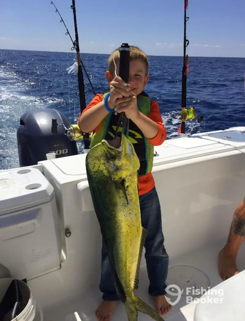 charter image 6
