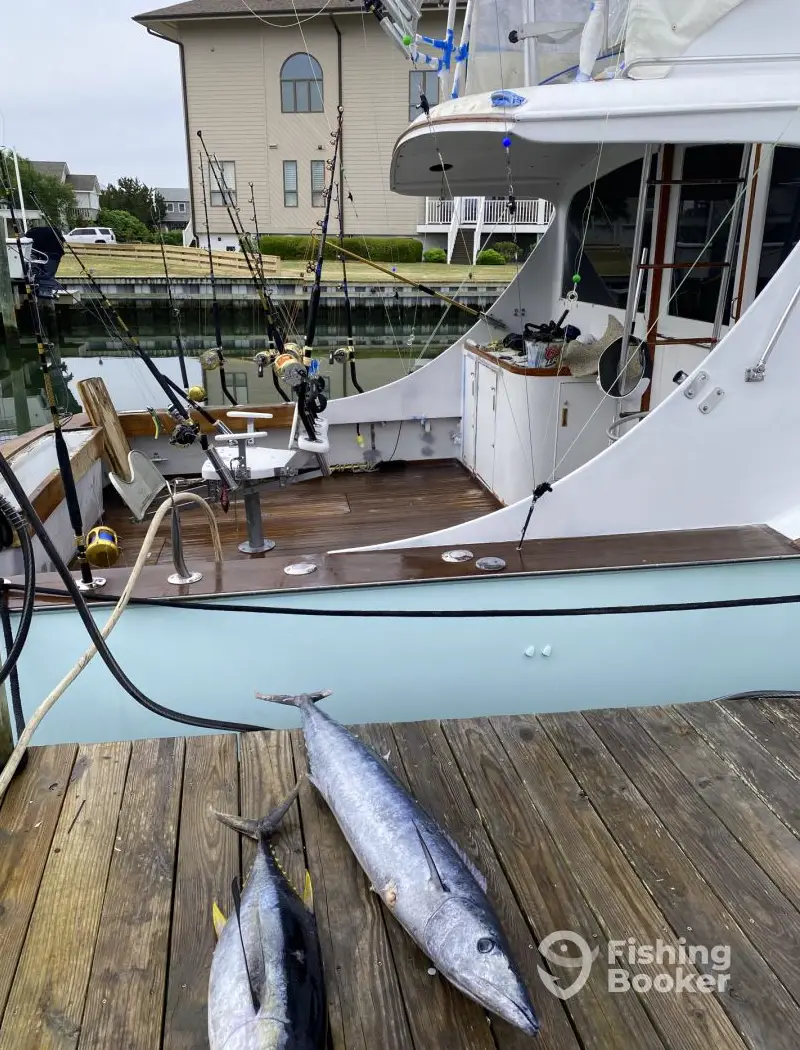 charter image 5