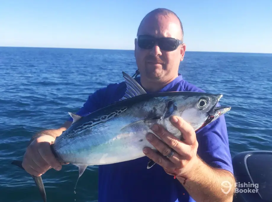 charter image 5